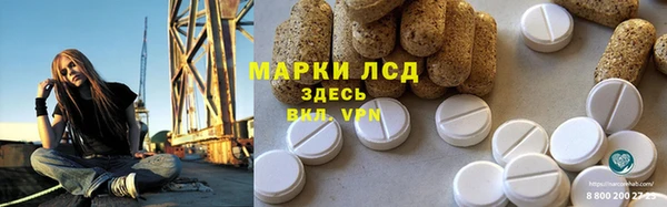 мдпв Каменногорск