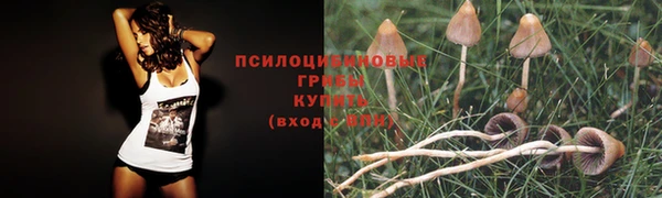 гидра Каменск-Шахтинский
