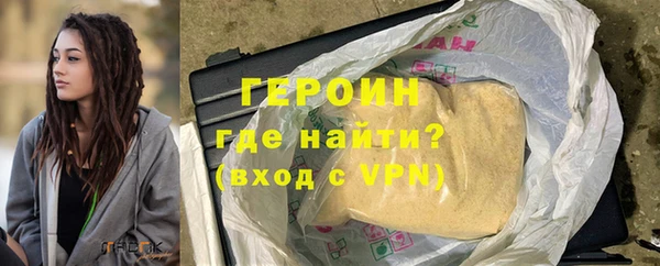 индика Инта