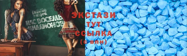 МДПВ Инсар