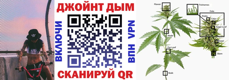 Канабис OG Kush  даркнет сайт  Короча 
